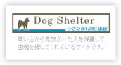 Dog Shelter